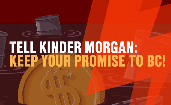 Keep your promise to BC! Use qualified BC workers